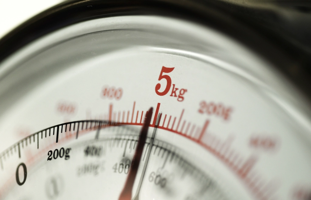 Close-up of an analog kitchen scale dial marked in kilograms